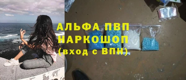 гидра Михайловск