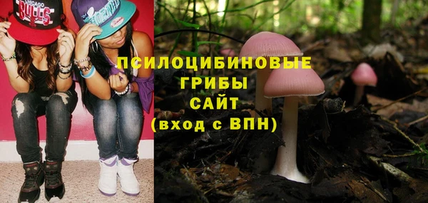 мяу мяу мука Михайлов