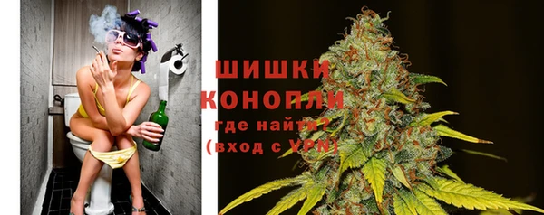 гидра Михайловск