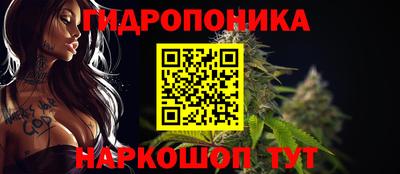 spice Аргун