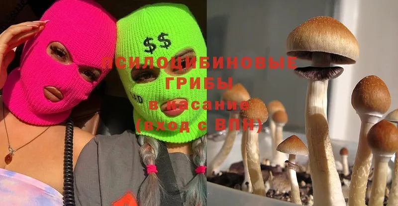 Псилоцибиновые грибы MAGIC MUSHROOMS  omg маркетплейс  Ефремов 