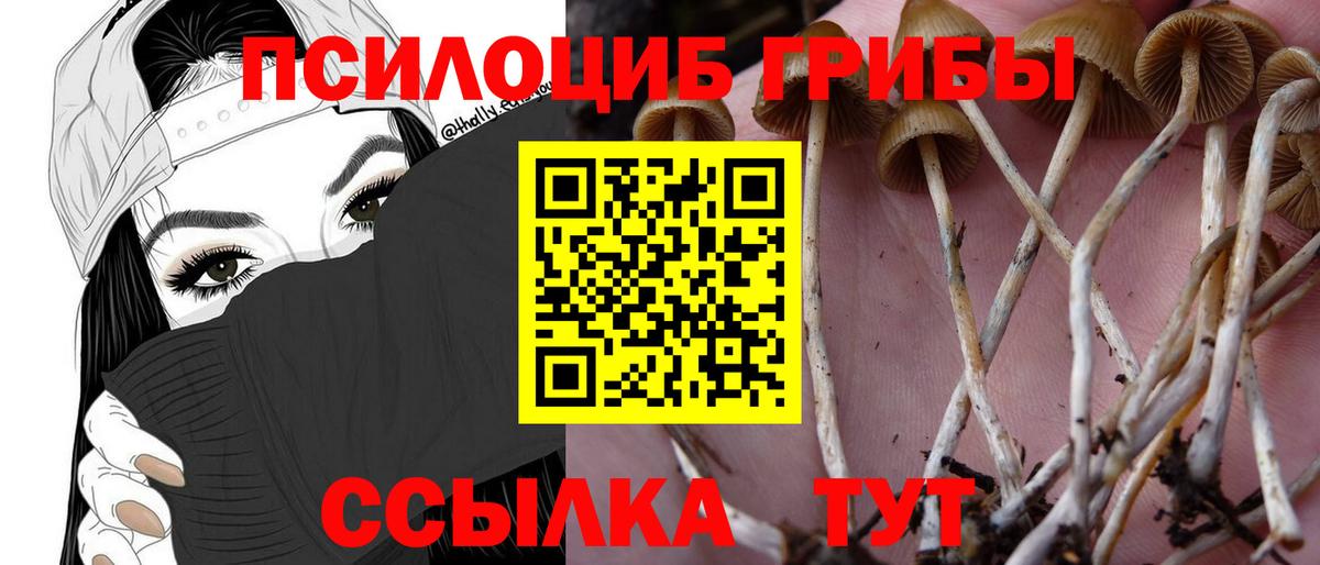 Галлюциногенные грибы GOLDEN TEACHER Ефремов