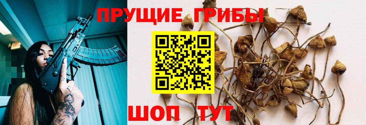 Ефремов  Галлюциногенные грибы Psilocybine cubensis  Вход с VPN  Галлюциногенные грибы MAGIC MUSHROOMS 